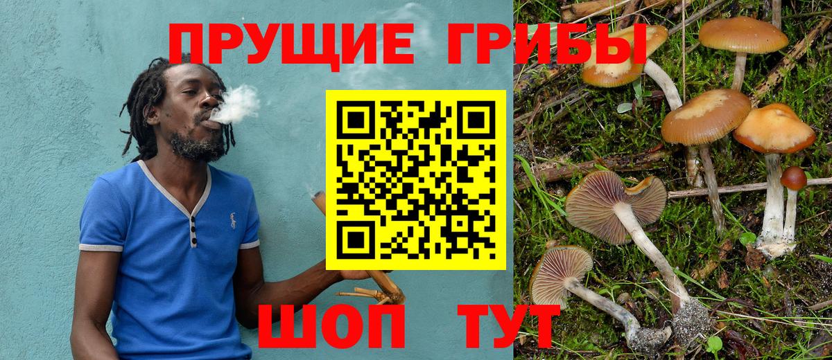 Псилоцибиновые грибы мицелий Усинск